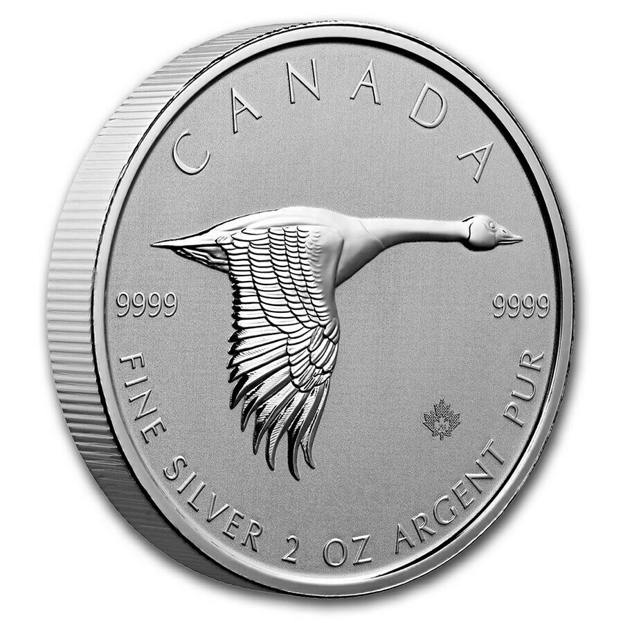 2020 RCM Canada 2 oz .9999 Silver Canadian Goose BU