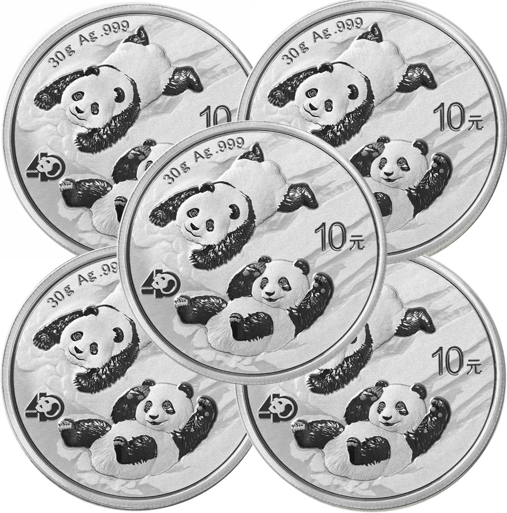 Lot of 5-2019 30 gram Chinese Silver Panda 10 Yuan .999 Fine BU 